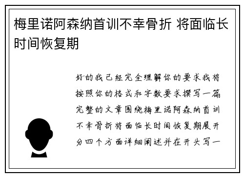 梅里诺阿森纳首训不幸骨折 将面临长时间恢复期